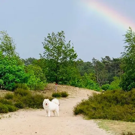 Holiday home Tinystay Veluwe