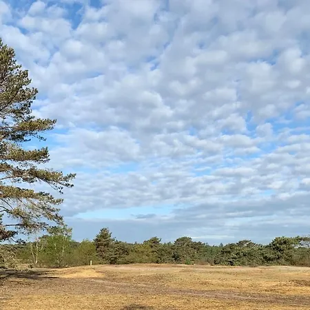 Tinystay Veluwe